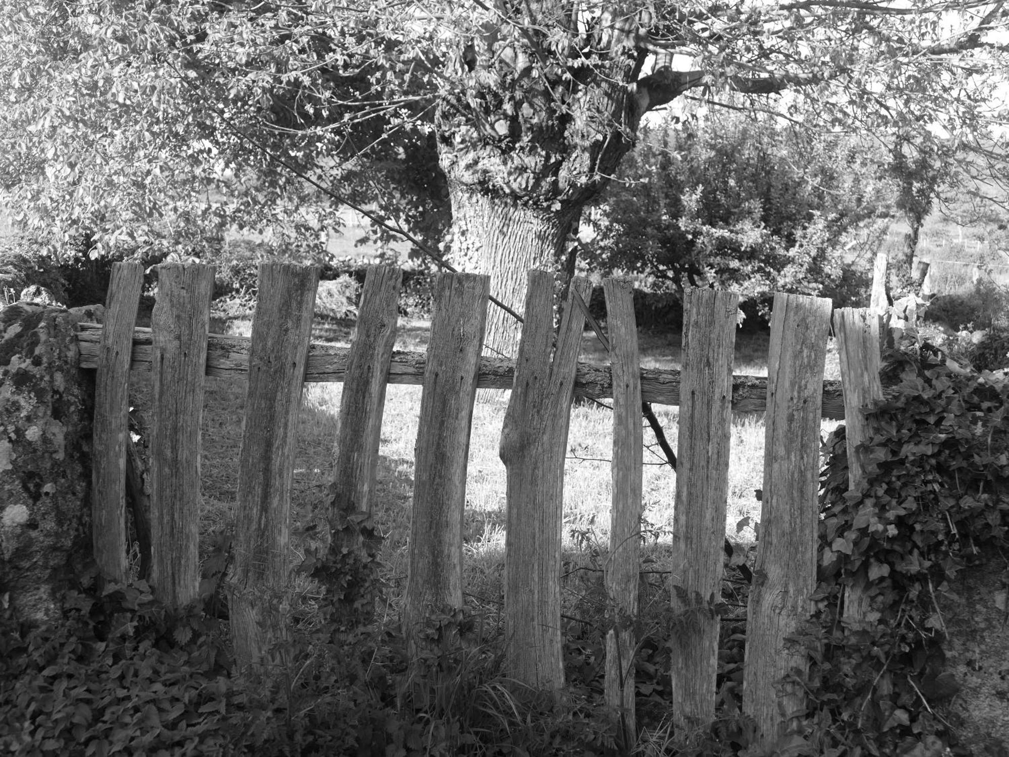 Pensión O Corazón da Ribeira Sacra La Teijeira Exterior foto